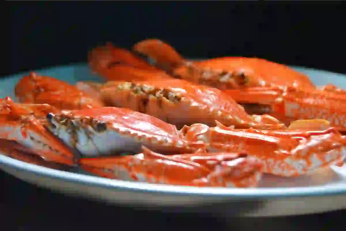 Ide paket catering tasyakuran: menu prasmanan, porsi, dan estimasi biaya